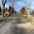 Wycinka drzew w pasach drogowych dróg powiatowych