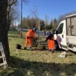 Prace ogrodnicze, nowe nasadzenia drzew oraz krzewów na terenie m. Kołobrzeg i całego powiatu kołobrzeskiego