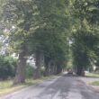 Podcinka odrostów lip i zakrzaczeń na ul. Kolejowej u Ustroniu Morskim