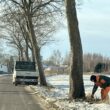 Wycinka zakrzaczeń i odrostów drzew na drodze powiatowej Korzystno – Stary Borek