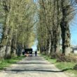 Remont cząstkowy nawierzchni na odcinku Byszewo – Starnin