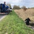 Udrożnienie i oczyszczenie przepustów na drodze powiatowej Grzybowo – Stary Borek