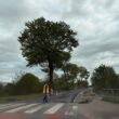 Układanie warstw bitumicznych na drodze Gościno-Goscino Dwór